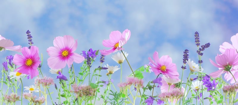 Fantasy Flowers